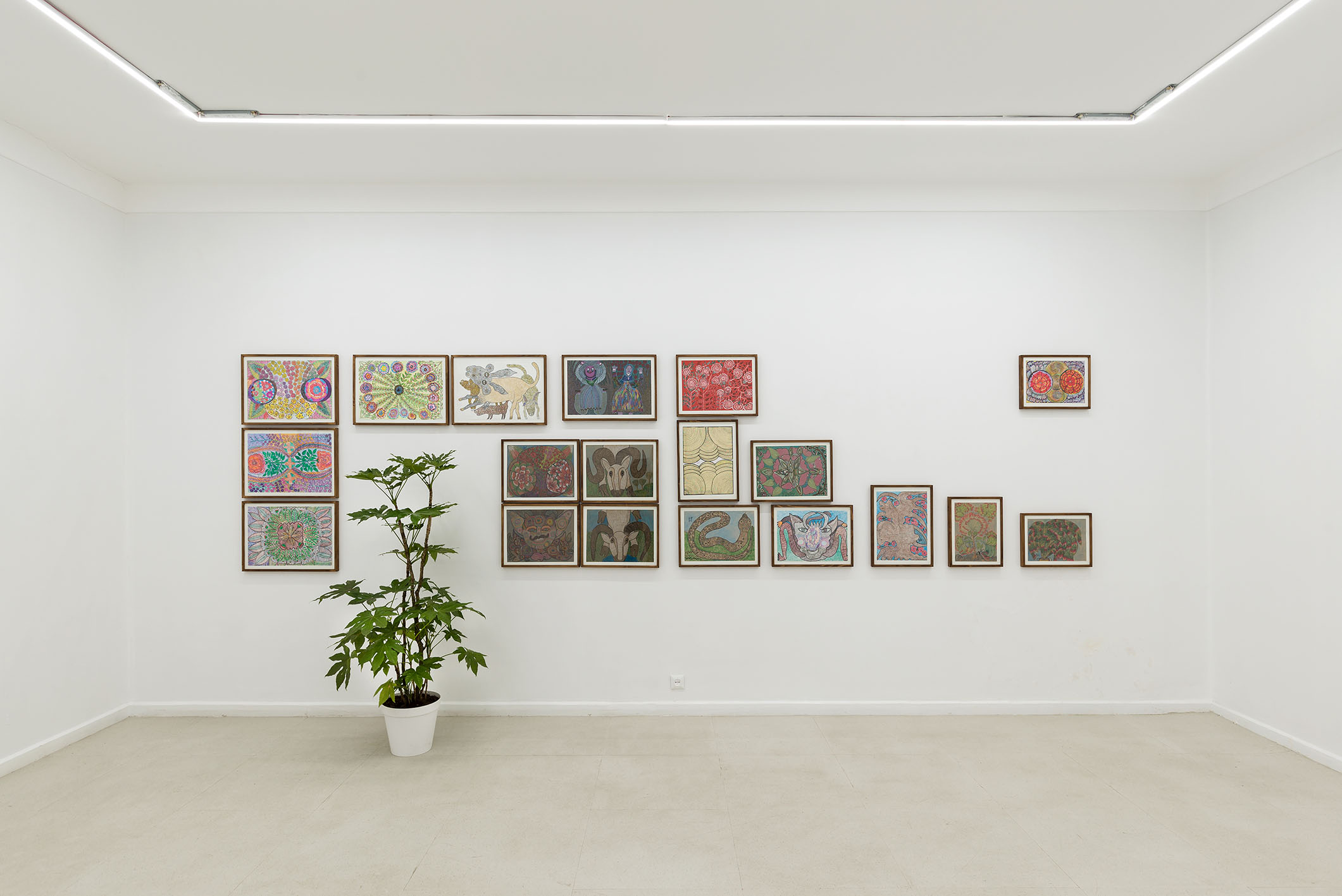 Installation view- Domesticated Flowers