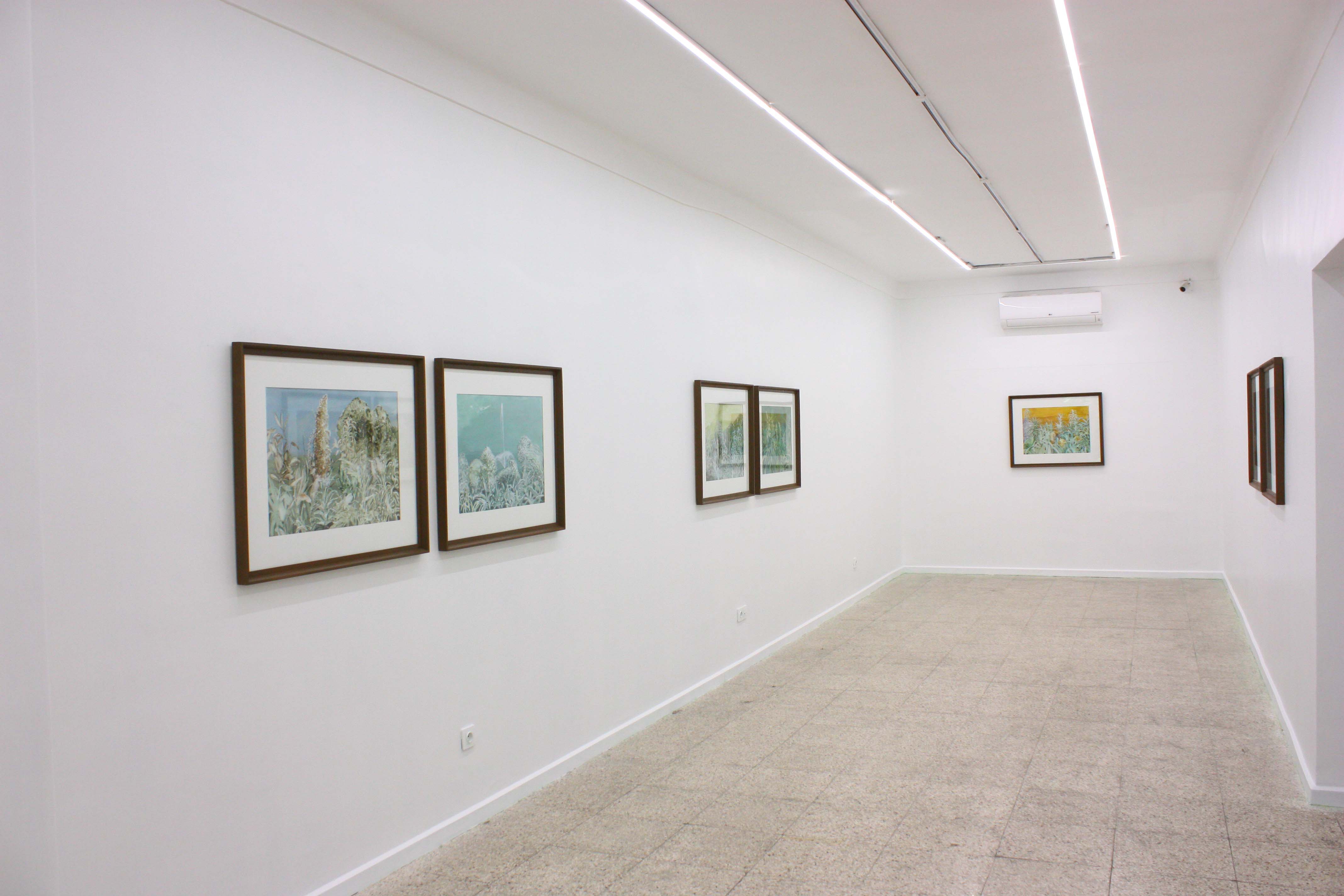 Installation view-The Beginning of Landscape