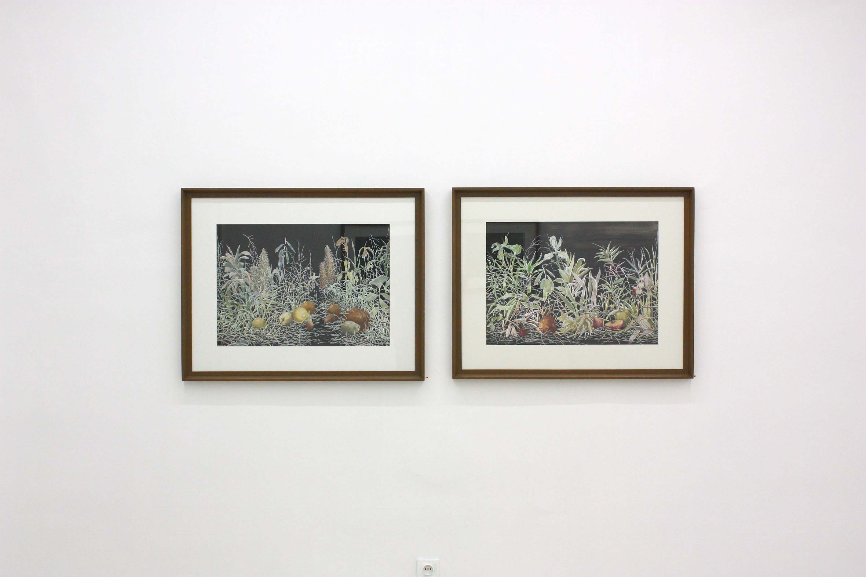 Installation view-The Beginning of Landscape